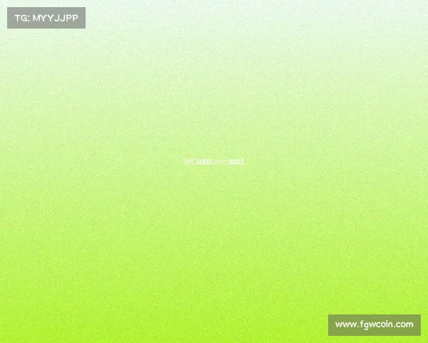 IMC电子竞技(mrc 电子竞技)